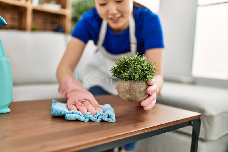 Young Chinese Housewife Cleaning Table Using Diffuser and Rag at Home