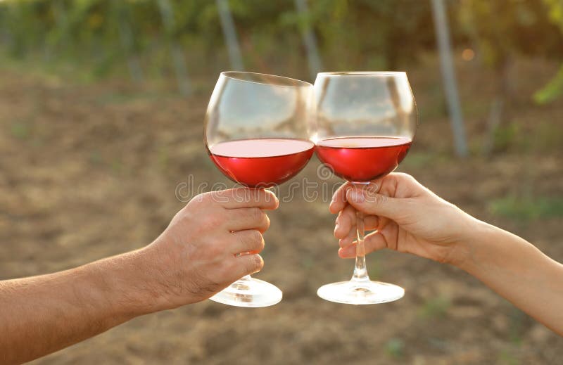 Couple Holding Wine Glasses In Vineyard Stock Image Image of beverage