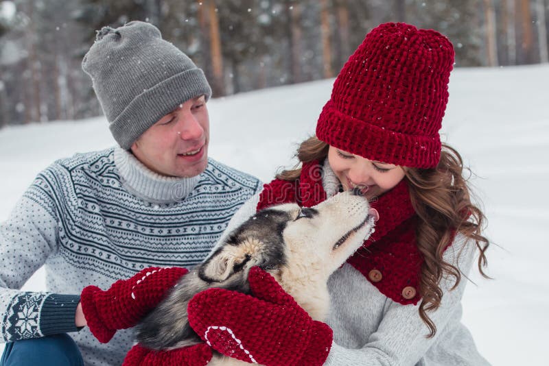 Young couple with a Husky dog walking in winter park, Man and woman hugging a dog. stock photo Young couple with a Husky dog walking in winter park, Man and woman hugging a dog. stock photo