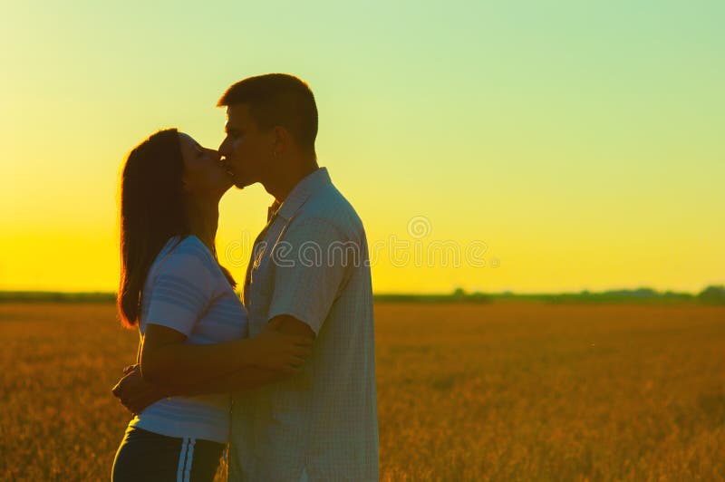 Young couple kissing on the wheat field royalty free stock photography Young couple kissing on the wheat field royalty free stock photography