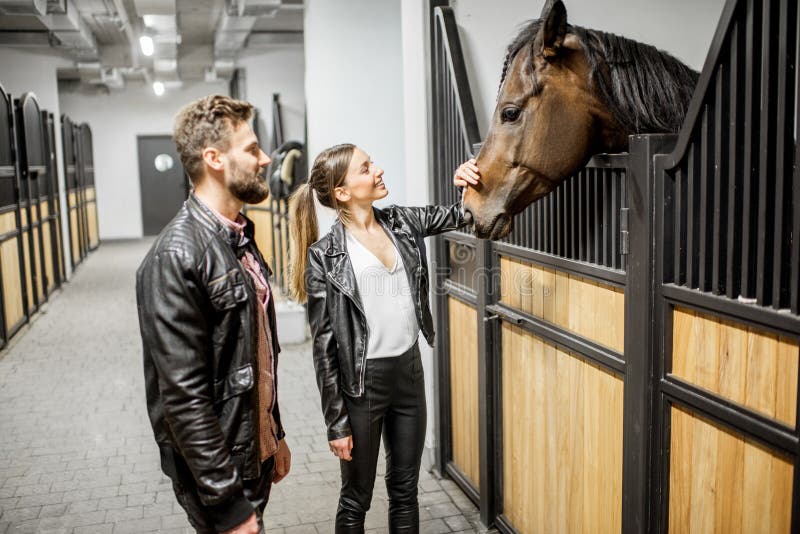 Couple with horse in the stable royalty free stock image Couple with horse in the stable royalty free stock image