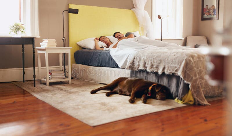 Young couple sleeping comfortably on bed with dog on floor