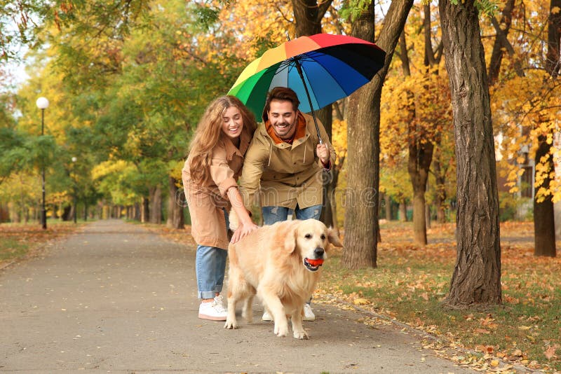 dog walking umbrella