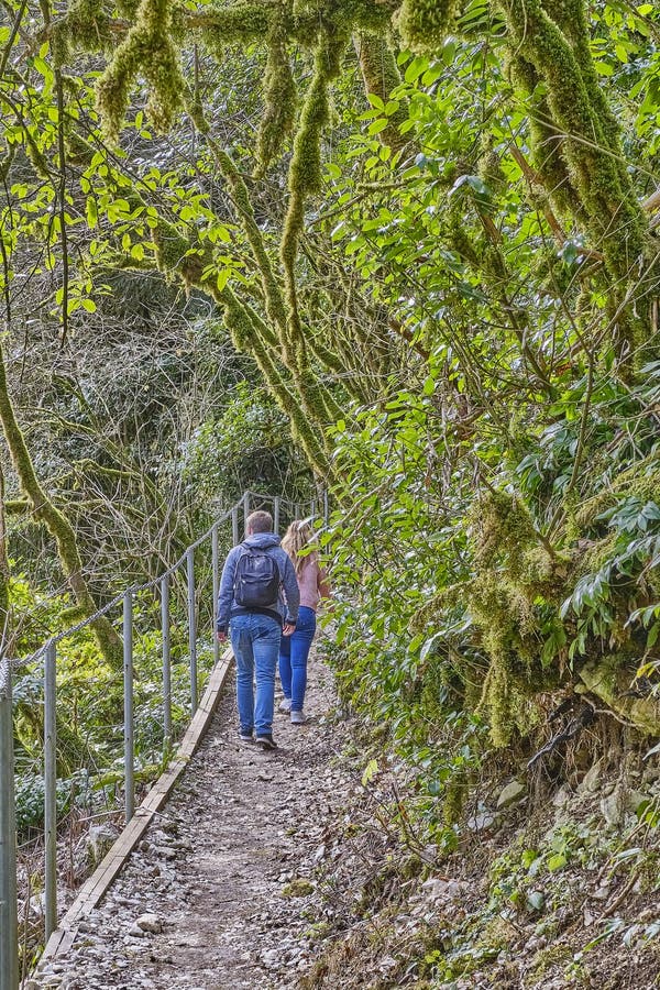 Young couple are walking along hiking trail among relict trees. Yew and boxwood grove of Caucasian Biosphere Reserve, Russia