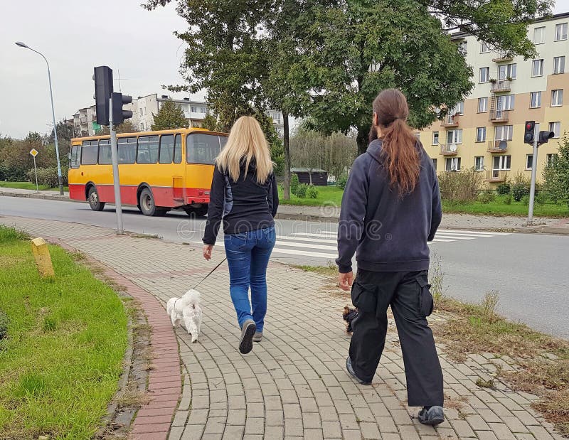 A young couple walking along the sidewalk with their little dogs in a residential area.