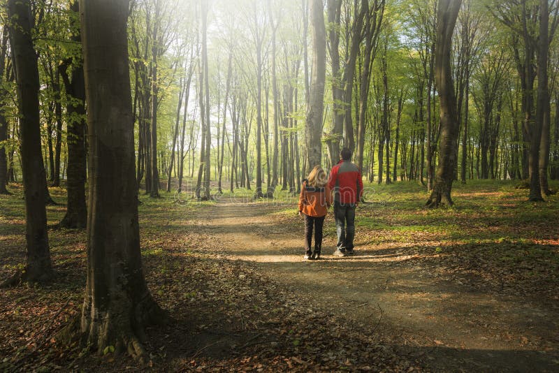Young couple walking in the forest stock image Young couple walking in the forest stock image