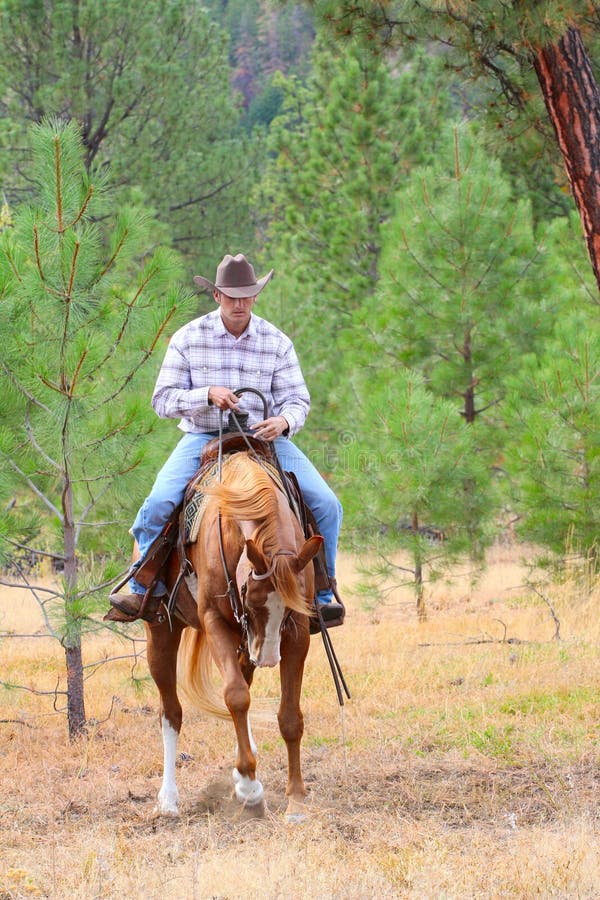 Young cowboy stock image. Image of equestrian, horse - 55238535