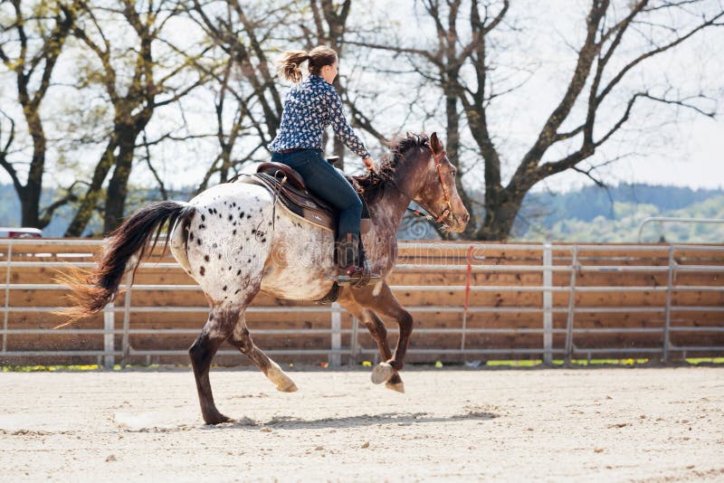 Young cowgirl riding a beautiful paint horse in a barrel racing event at a rodeo. stock photo Young cowgirl riding a beautiful paint horse in a barrel racing event at a rodeo. stock photo