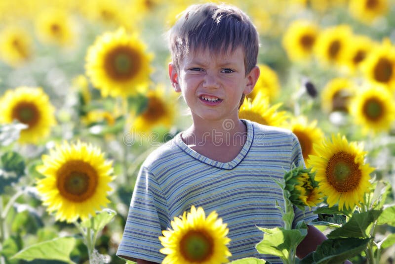 Young cute child boy with sunflower