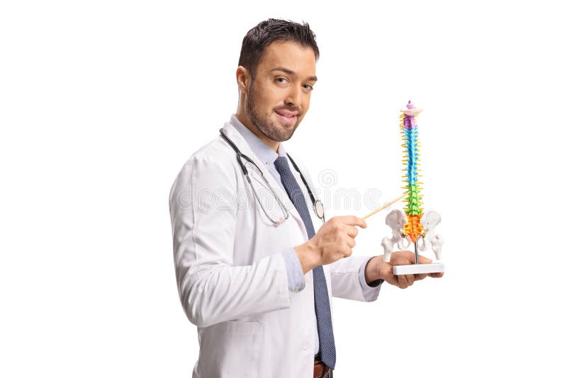 Young doctor explaing a human spine model royalty free stock photo