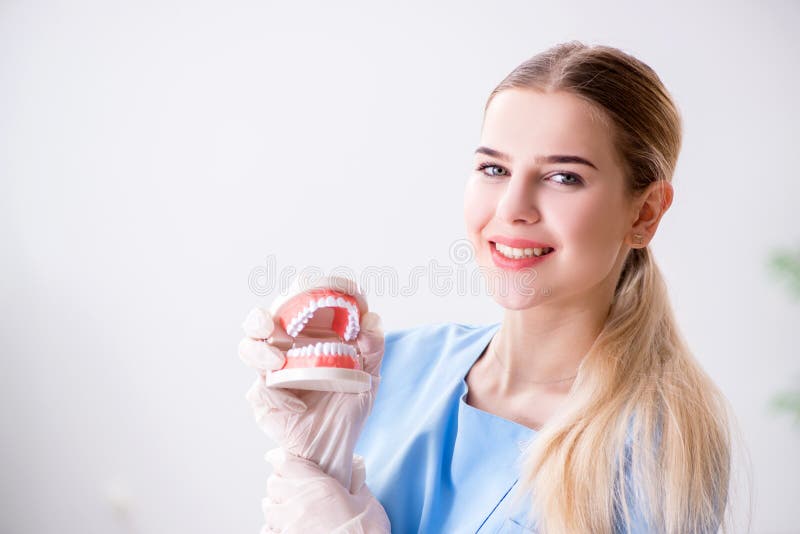 The Young Doctor Nurse with Dentures Stock Image Image of dentist