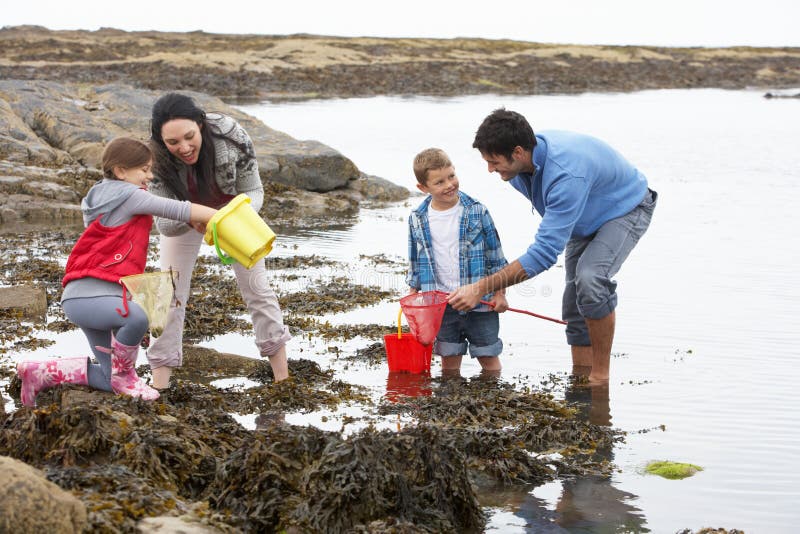 Young family at beach collecting shells