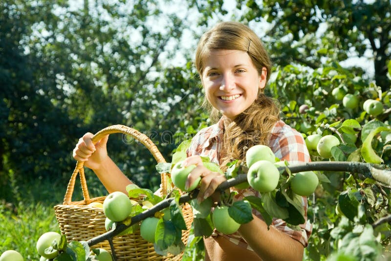 Young farm girl picking apple