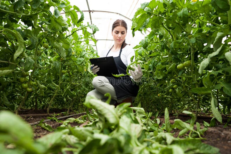 Biotecnologie donna ingegnere con un blocco per appunti e penna esame di piante! Ritratto di una giovane donna al lavoro in serra, in uniforme.