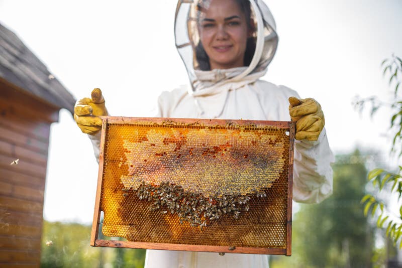 Young female beekeeper hold wooden frame with honeycomb. Collect honey. Beekeeping concept.