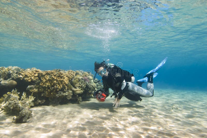 Young female diver in clear shallow water. royalty free stock images