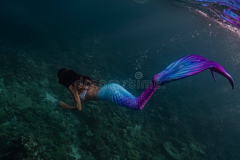 1,008 Sexy Mermaid Stock Photos - Free & Royalty-Free Stock Photos