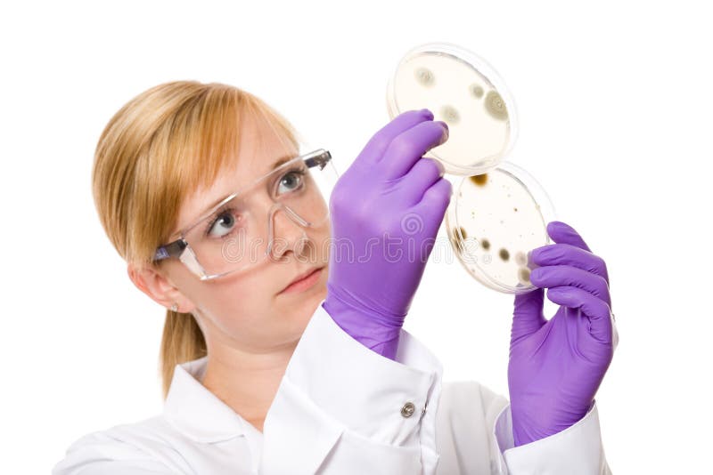 Young female scientist comparing 2 petri dishes