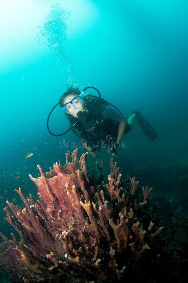 Young female scuba diver swims over reef