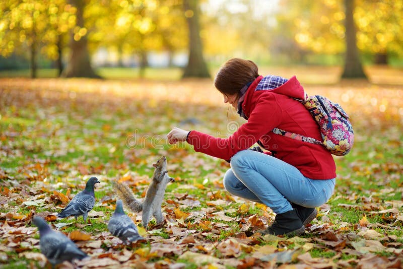 Young female tourist feeding squirrels and pigeon in St James`s Park in London, United Kingdom, on beautiful sunny autumn day stock photo Young female tourist feeding squirrels and pigeon in St James`s Park in London, United Kingdom, on beautiful sunny autumn day stock photo