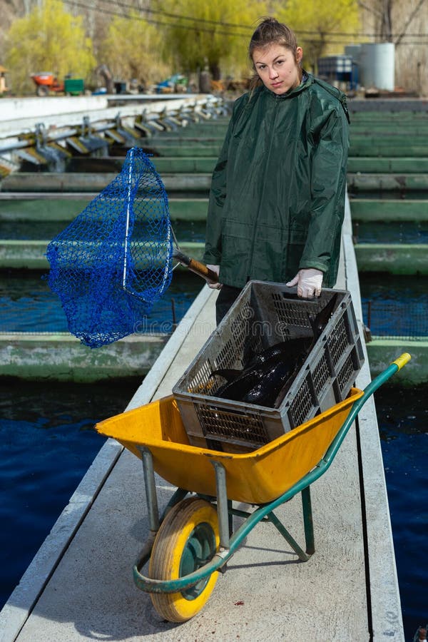 Fishing Hoop Net Stock Photos - Free & Royalty-Free Stock Photos from  Dreamstime