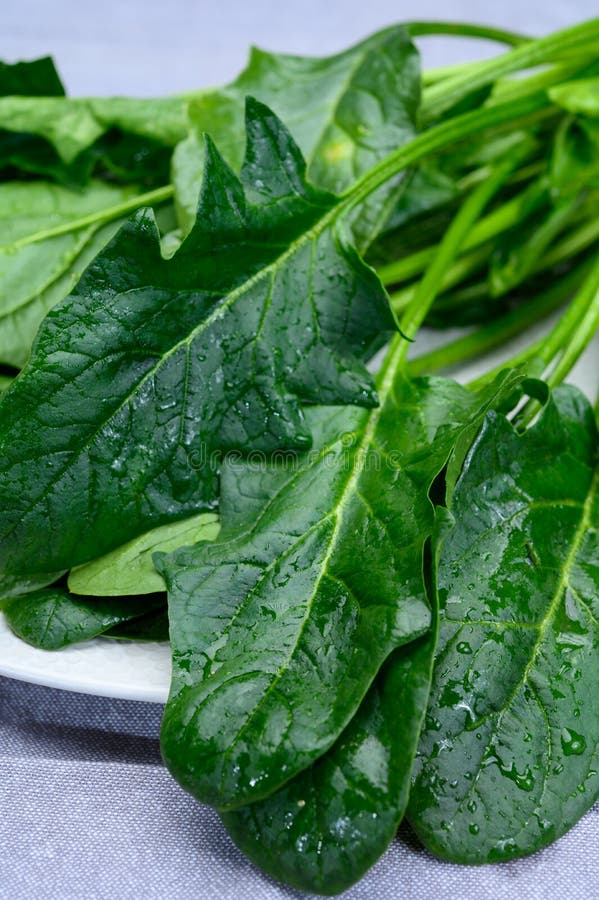 Young Fresh Leaves of Green Organic Spinach Ready To Cook Stock Photo