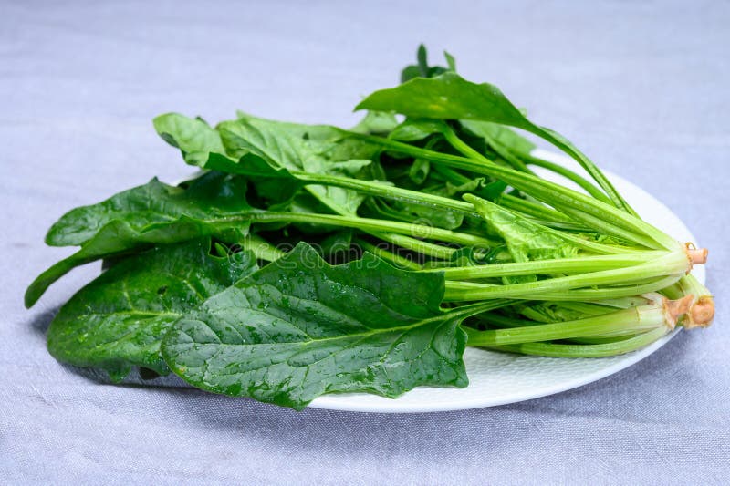 Young Fresh Leaves of Green Organic Spinach Ready To Cook Stock Image