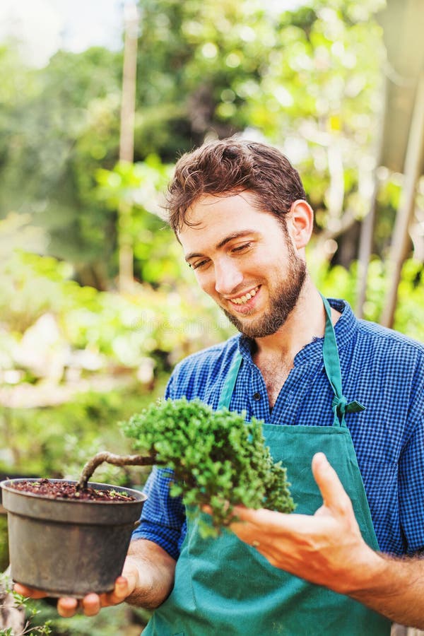 Young gardener with bonsai stock image. Image of natural 61747549