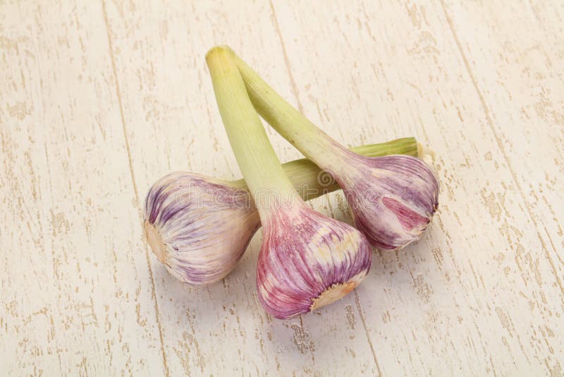 Young garlic heap stock photo. Image of nutrition, cooking 155005536