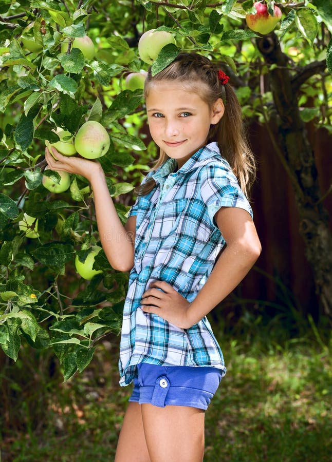 Young girl in an apple orchard stock image