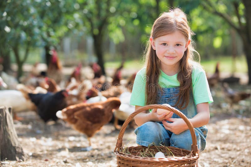Young girl holding chicken eggs  from a wicker basket on a farm with chickens in the background