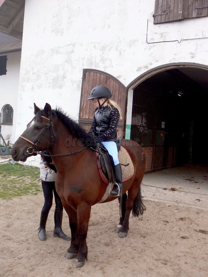 A young girl on the horse in front of the stable. Preparation for the riding.