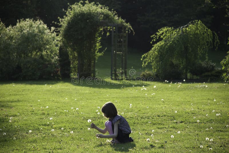 A young girl picking dandelions in a sunny garden