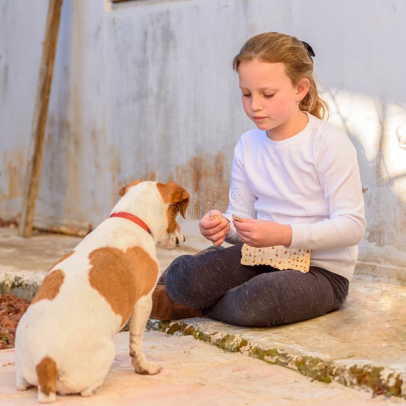 Young girl playing with pet dog jack russell terrier outdoor. stock images Young girl playing with pet dog jack russell terrier outdoor. stock images