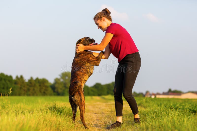 Young Girl Plays with a Boxer Dog Stock Photo Image of pretty, cute