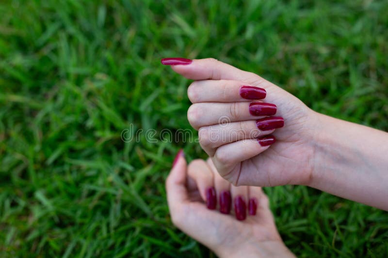 Womans Hand with Red Nails · Free Stock Photo