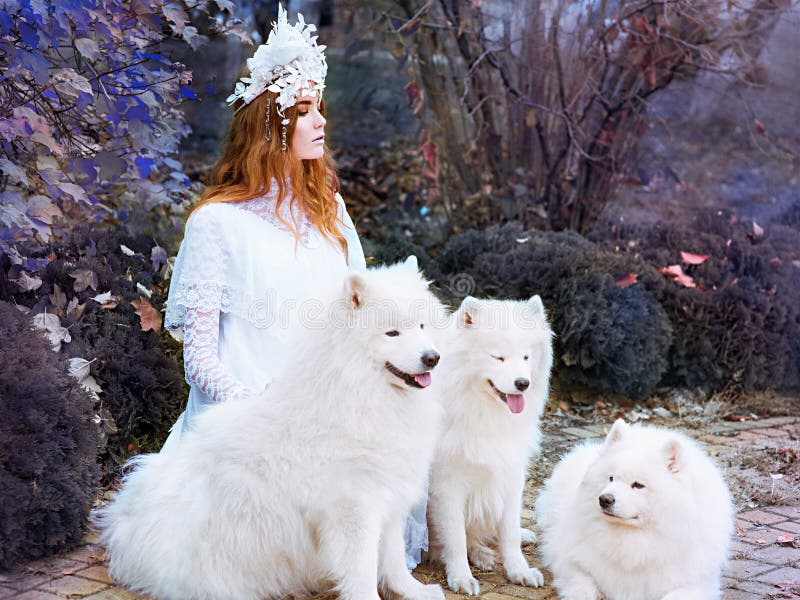 Young girl snow princess in long white dress with three samoyeds outdoor stock photo Young girl snow princess in long white dress with three samoyeds outdoor stock photo