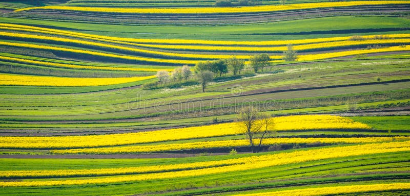 Spring farmland in the hills of Roztocze in Poland.