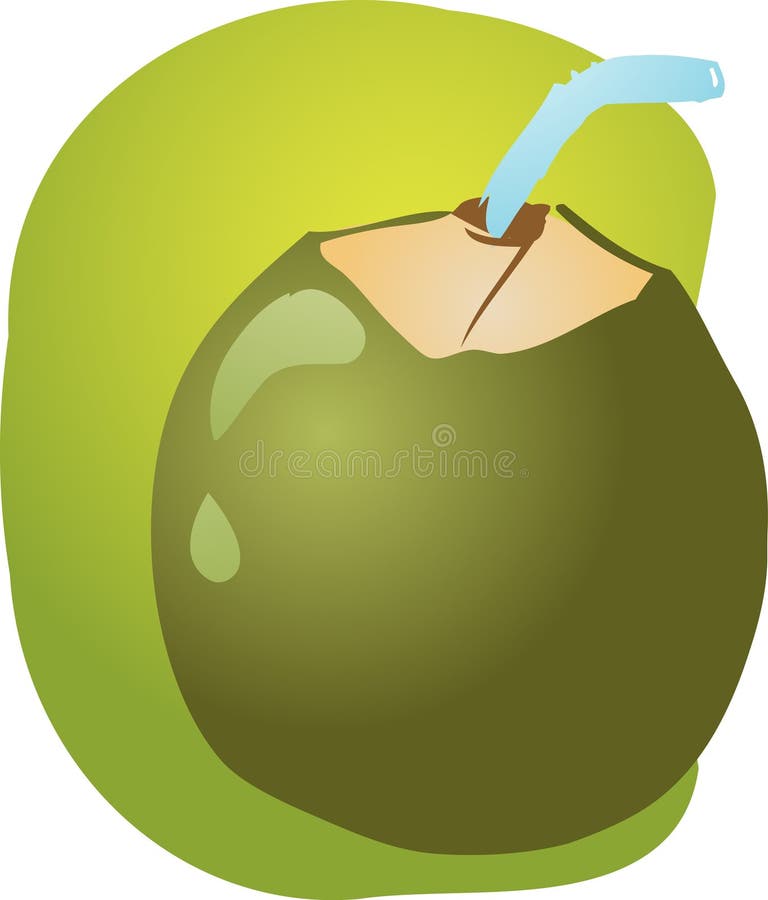 Green Coconut Vector Png