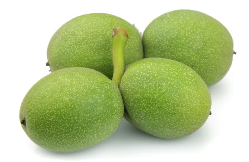 Young green walnut royalty free stock photography