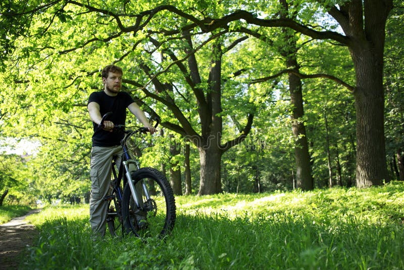 Young guy on bike stock photo. Image of garden, relaxation - Young Guy Bike Young Athlete Bicycle Oak Park 137565948