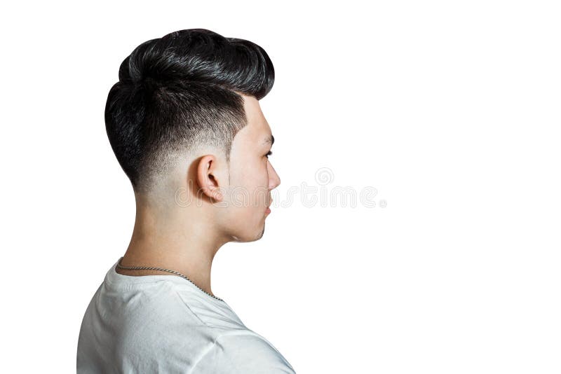 Young Guy Brunette with Pompadour Volume Haircut 50s - 60s. Real Photo  Retro Hair Style Side, for Barbershop, Isolated Stock Image - Image of model,  face: 186035109