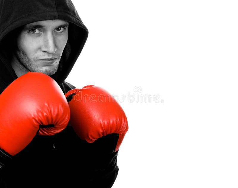 Young handsome boxer royalty free stock photography