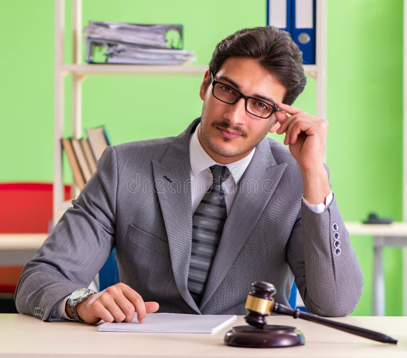 Young Handsome Lawyer Working in the Office Stock Image Image of