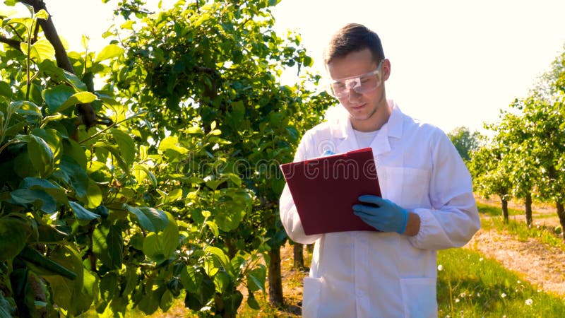 A young handsome male biologist or agronomist, working in a tablet, wearing a white coat, wearing goggles, wearing blue rubber g