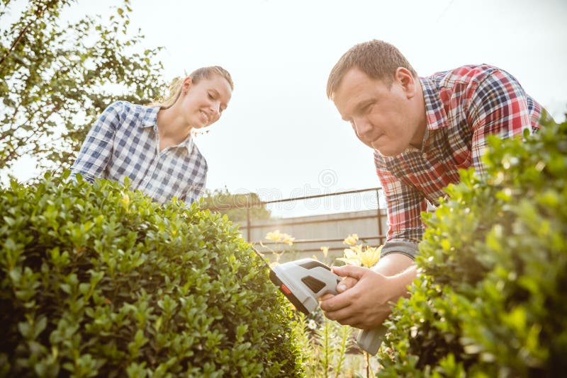 Young and happy farmer`s couple at their garden in sunny day stock photo Young and happy farmer`s couple at their garden in sunny day stock photo