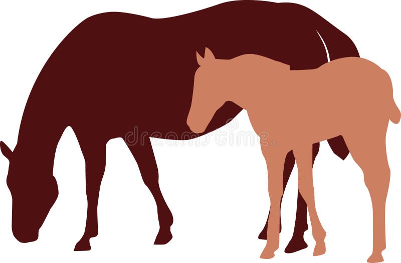 Mare and colt or filly illustration