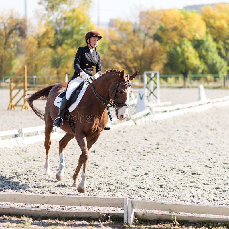 Young horse rider girl at the dressage competition