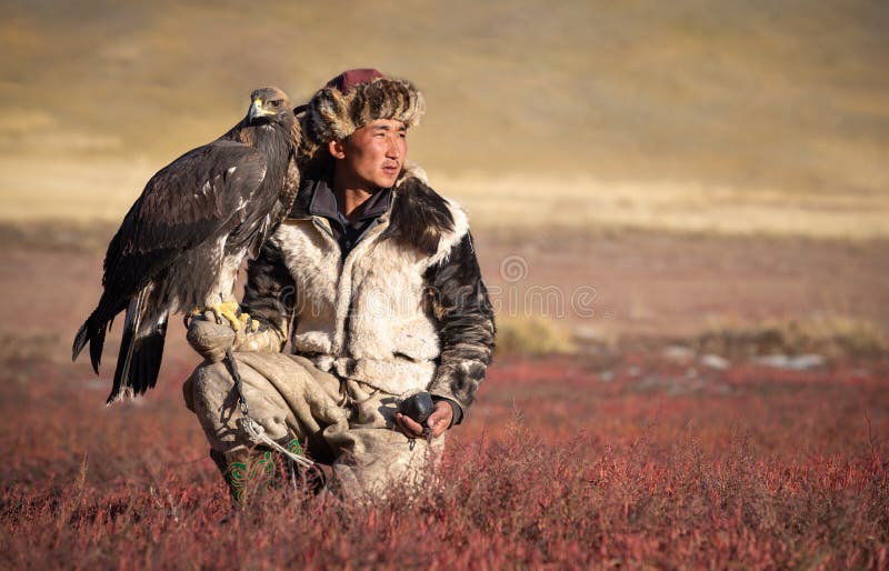 Young kazakh eagle img