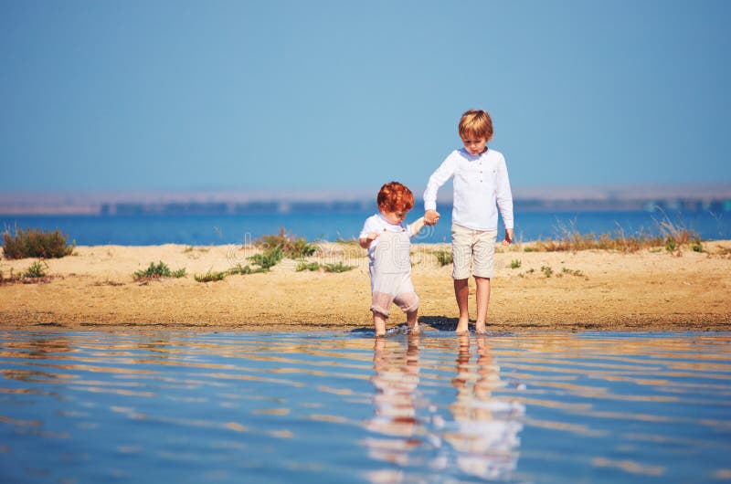 Young kids, brothers walking in shallow water in the summer morning